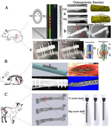 image-20220616224543-3