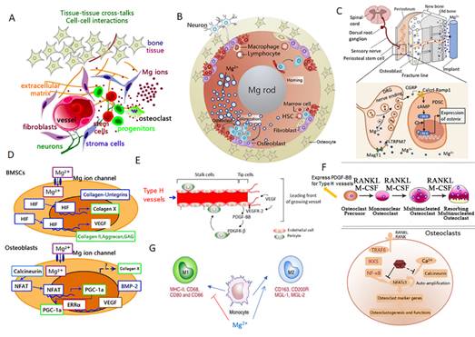 image-20220616224543-4
