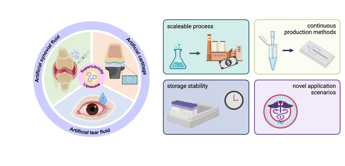 image-20220914114524-1