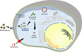 image-20220923212659-2