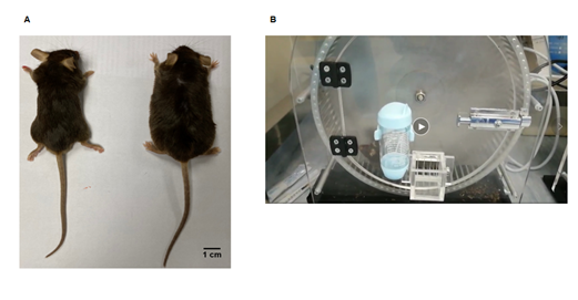 image-20221007143117-3