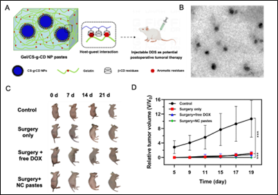 image-20230220093221-2