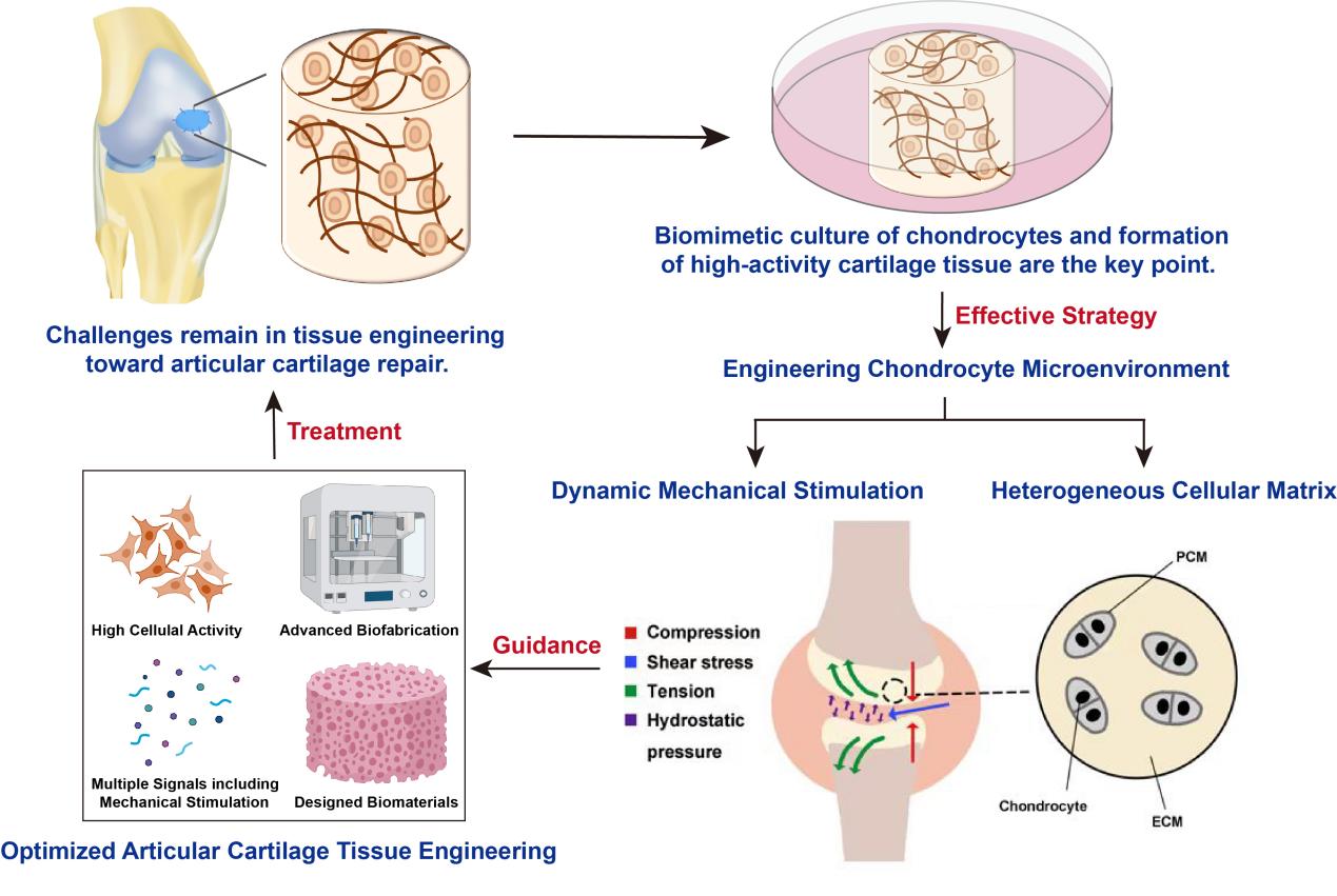 image-20230220111806-2