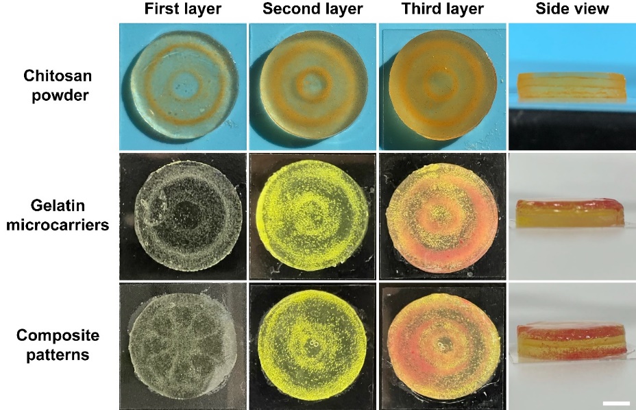 image-20230713181020-4