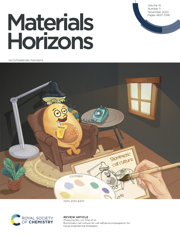 image-20231101171021-1