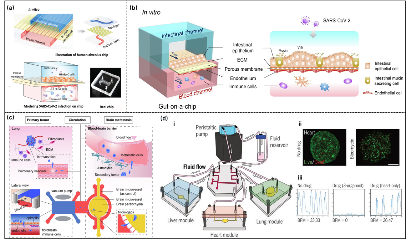 image-20231101171021-3