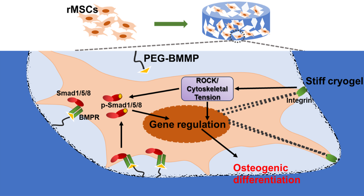 image-20240117171030-1