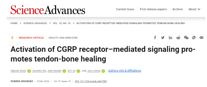 image-20240319180319-3