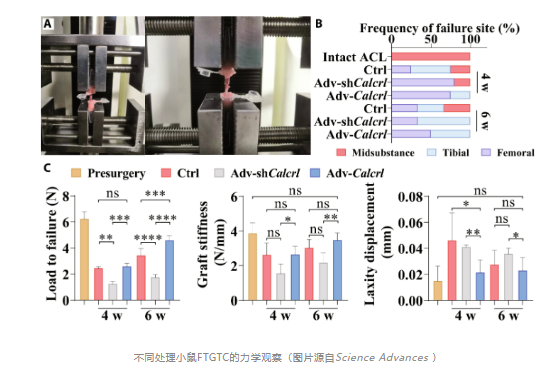 image-20240319180329-4