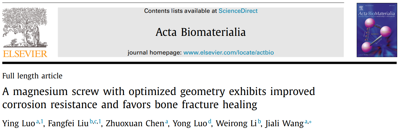 image-20240320150618-1