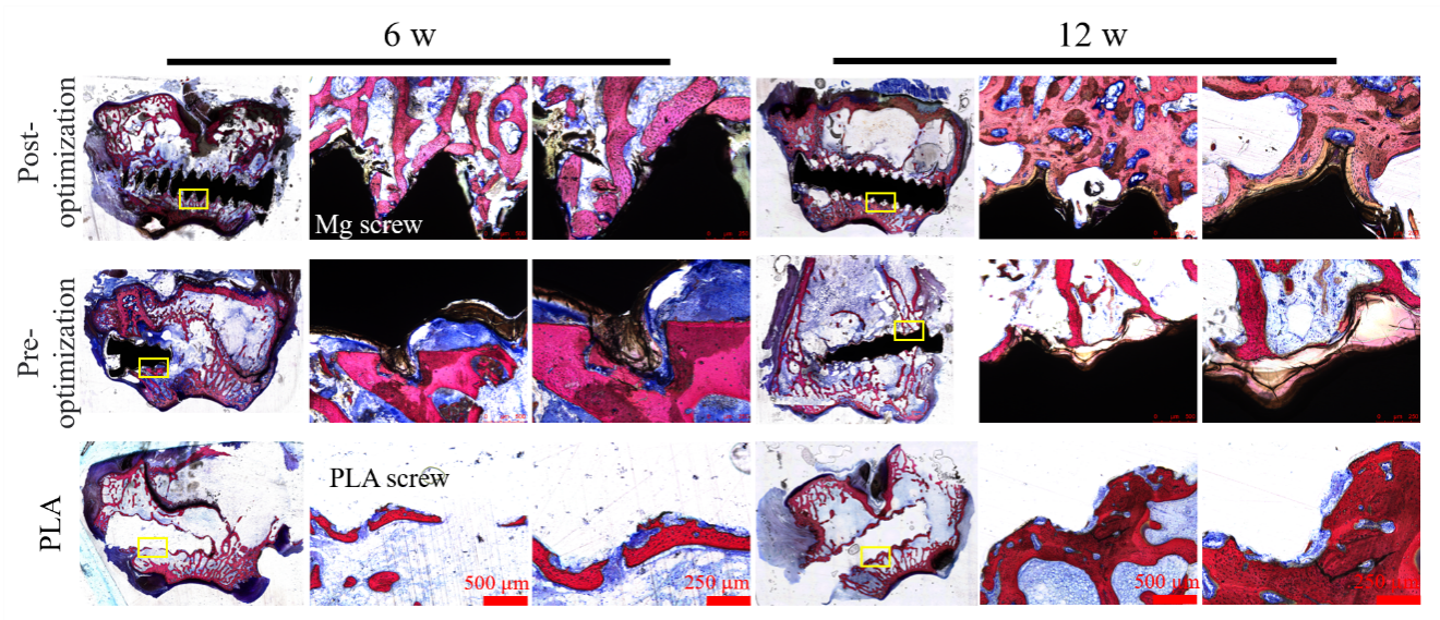 image-20240320150618-4