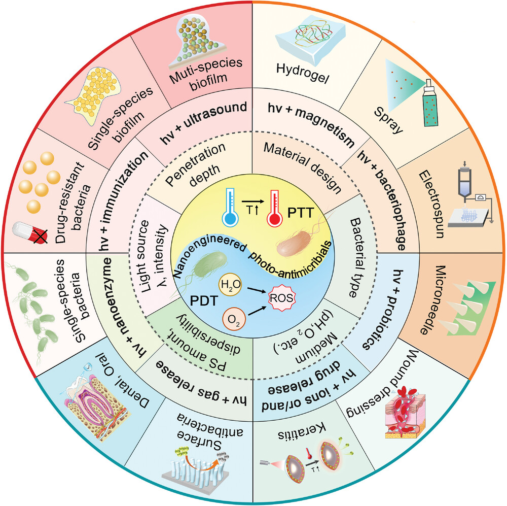 Details are in the caption following the image